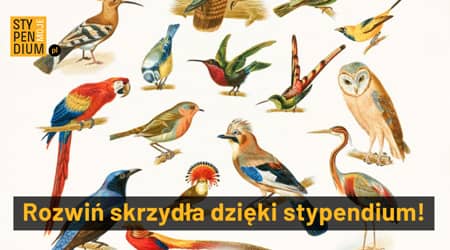 Źródło grafiki: Fundacja Dobra Sieć Różne gatunki ptaków i napis rozwiń skrzydła dzięki stypendium!