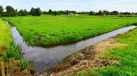 Zdjęcie krajobrazu wiejskiego. Widoczne łąki oraz rowy melioracyjne.