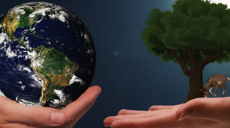 Grafika przedstawiająca dwie dłonie. Jedna trzyma kulę ziemską, druga - drzewo. 