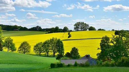 Krajobraz wiejski: pola z uprawami oraz budynek mieszkalny.