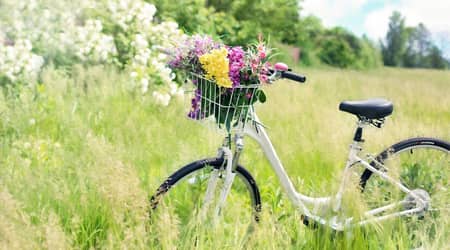 Rower z koszem kwiatów ustawiony na łące