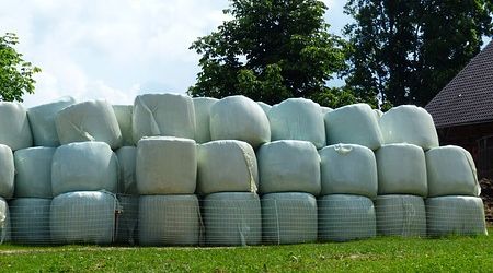 Bele siana ułożone w stos