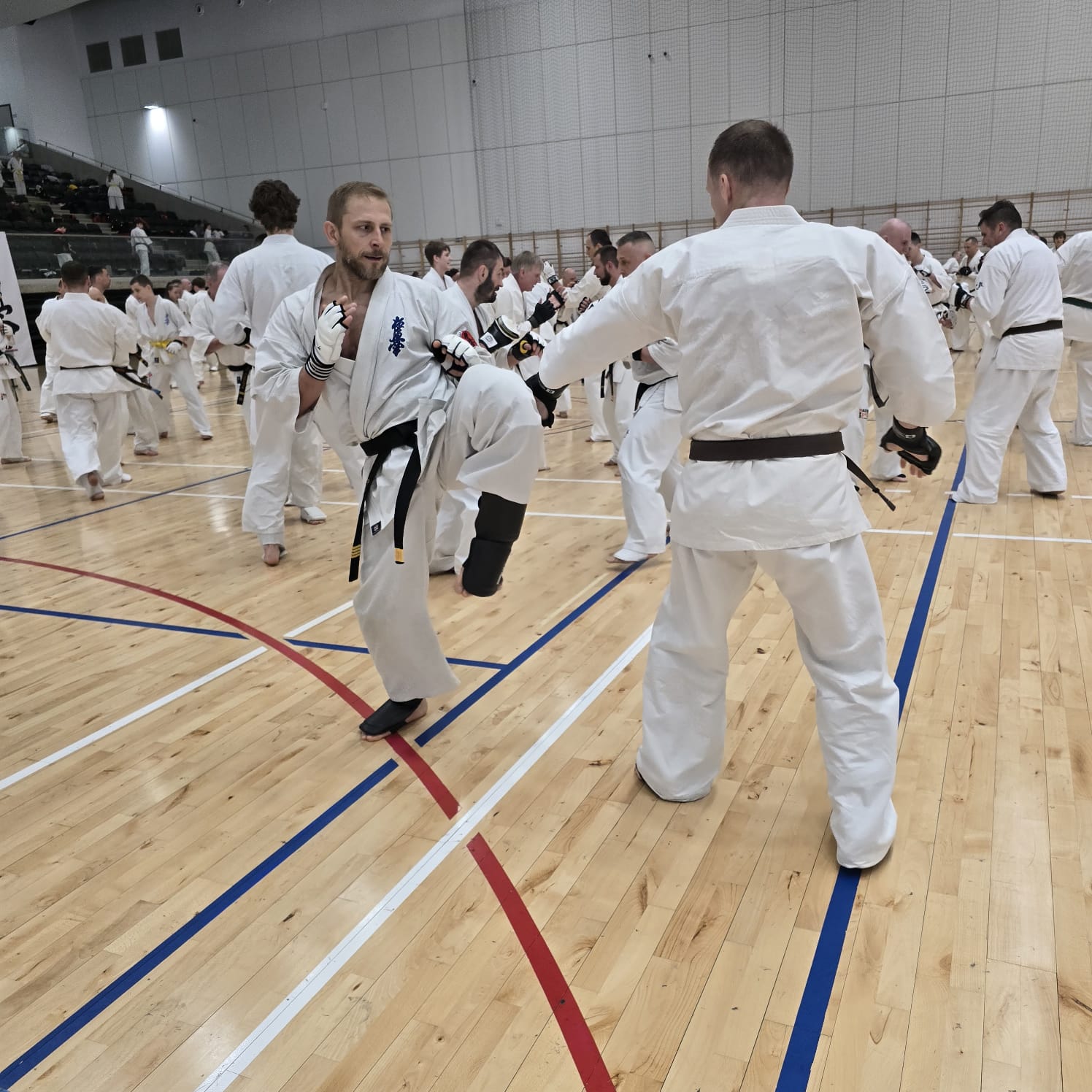 ćwiczenia karate 